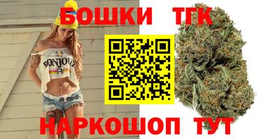 сатива Можга