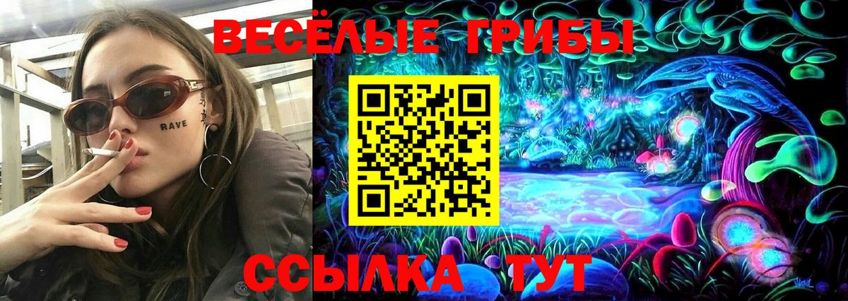Дивногорск  закладка  Вход с VPN  Галлюциногенные грибы Psilocybe 